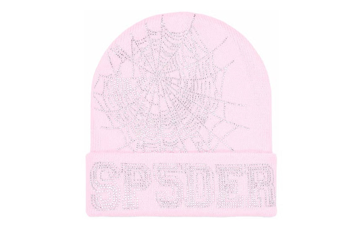 Sp5der Web Beanie