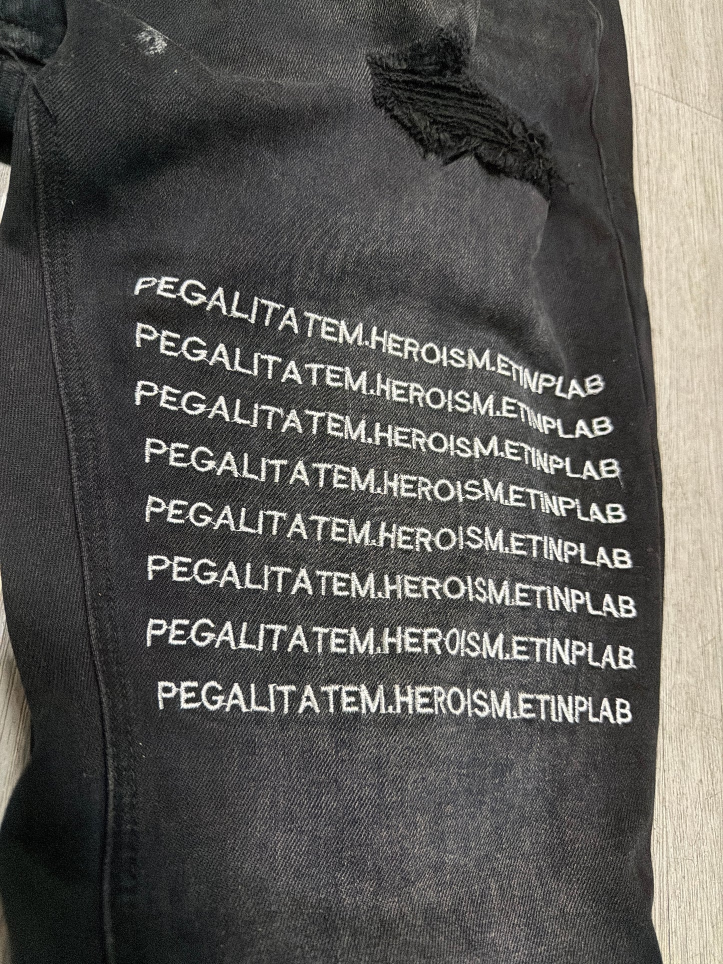 Ksubi Pegalita Denim