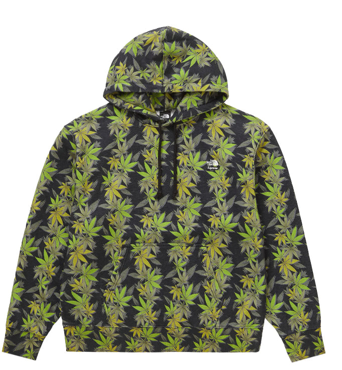 Supreme The North Face Leaf Hoodie (FW23)